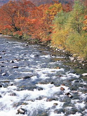 【公式】東横INNウランバートルホテル|ビジネスや観光に最適な市内中心部の快適宿泊施設