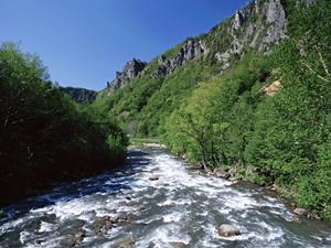 【公式】東横INN湘南茅ヶ崎駅北口|神奈川県茅ヶ崎市の便利なビジネス・観光ホテル