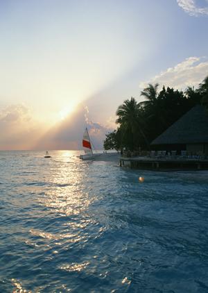 【公式情報から解説】東横INN品川大井町:ビジネスと観光に便利な格安ホテルの魅力