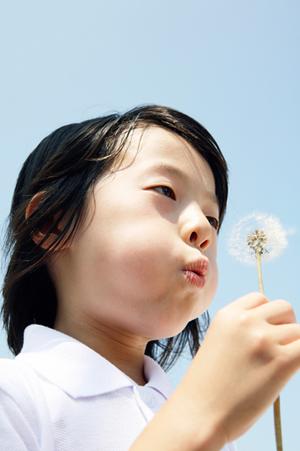 2026年最新！那須のレジャー施設徹底ガイド：家族やカップルで楽しむ絶対外さないスポット