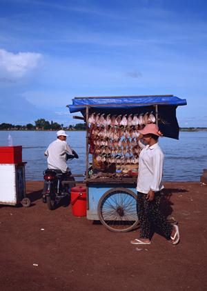 2026年版:代官山エリアで選ぶべきフォトスタジオトップ10と成功の秘訣