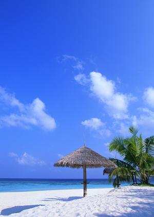 鹿児島市でクレーンゲームを楽しむなら押さえておきたい！攻略と対策の完全ガイド【2026年最新版】