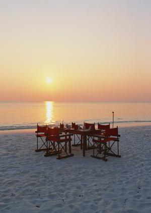 2025年最新ガイド:JALの株主優待を最大限に活用する方法