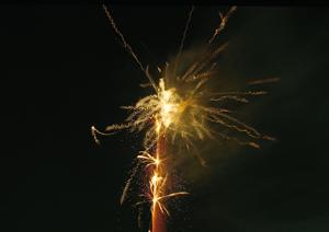 静岡の日本料理の名店：中島屋グランドホテルの「日本料理四季」の魅力と詳細情報